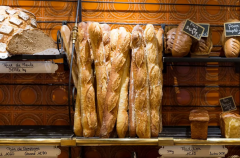 烘焙知识：面包的发酵经过