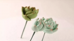 教你制作翻糖多肉花，“以假乱真”的艺术！