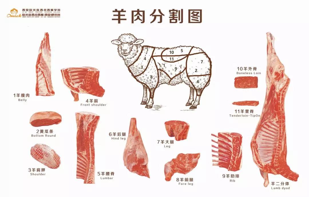 【干货知识】羊肉各部位分割图解与吃法,值得